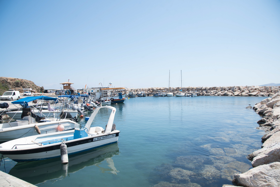 Road trip and discovering Cyprus by car in Pomos harbor, Paphos 