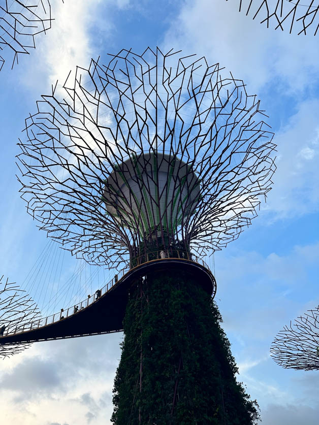 supertree observatory - Itinerary for Singapore 3 days