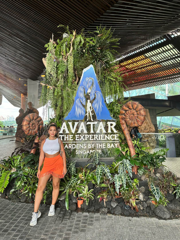 the avatar experience entrance in gardens by the bay - Itinerary for Singapore 3 days