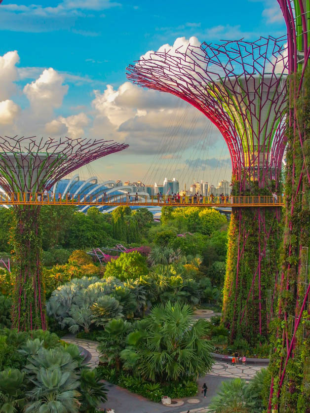 gardens by the bay in Singapore - a must in any Itinerary for Singapore 3 days